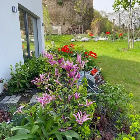 Luxusni Dum S Rozkvetlou Zahradou V Centru Villa *