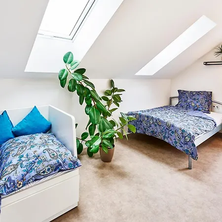 Villa Luxusni Dum S Rozkvetlou Zahradou V Centru